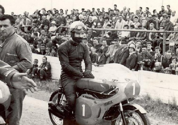 hailwood
