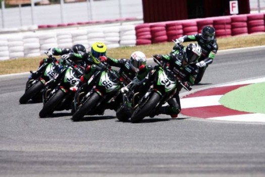 Kawasaki Z Cup