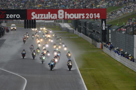 8 H DE SUZUKA 2014 RACE START